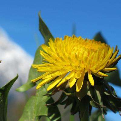 im电竞官方官网下载手机版