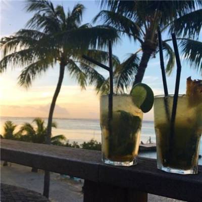 网络手机赌钱软件下载